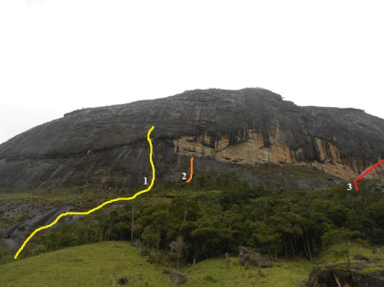 A Bactéria (projeto)