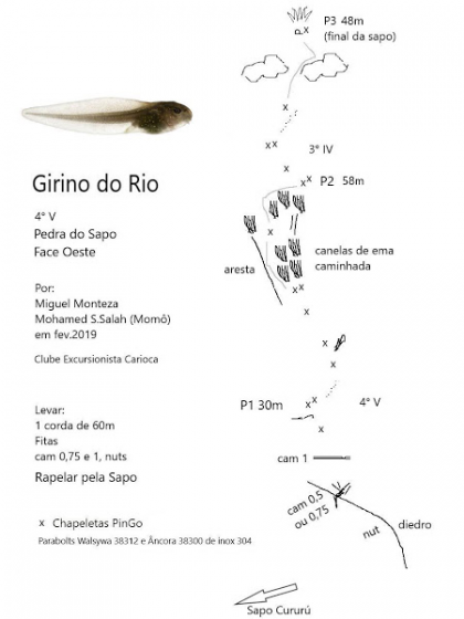 Girino do Rio