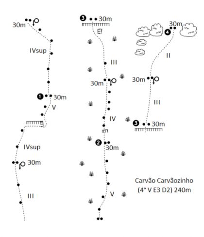 Carvão Carvãozinho