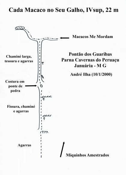 Cada Macaco no Seu Galho