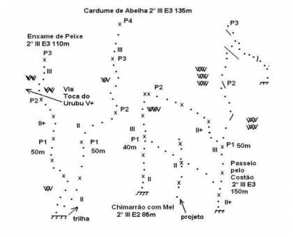 Cardume de Abelhas